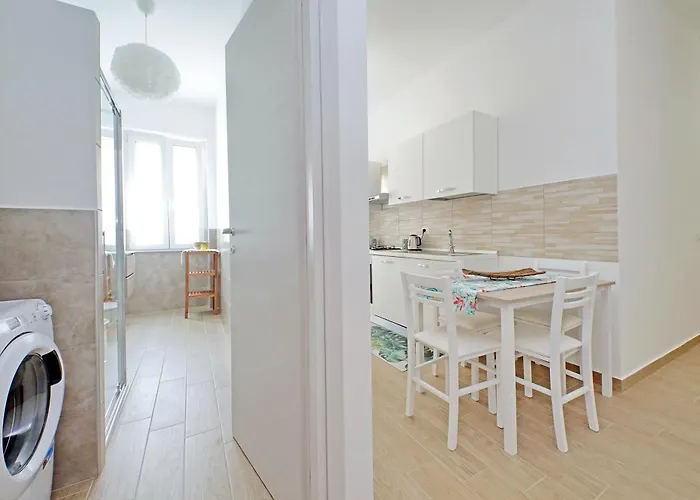 White Wood House *